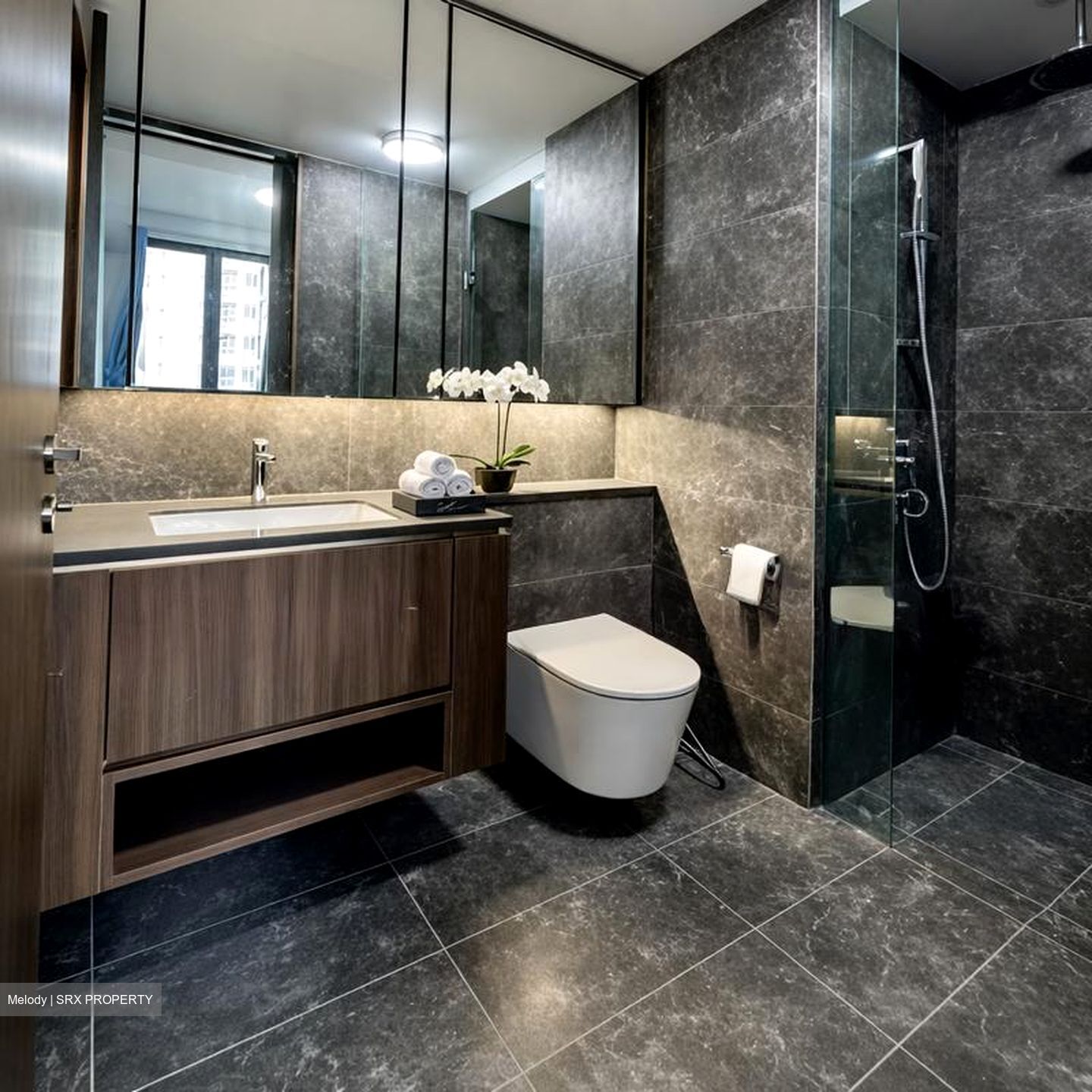 Kopar At Newton (D9), Apartment #515892421